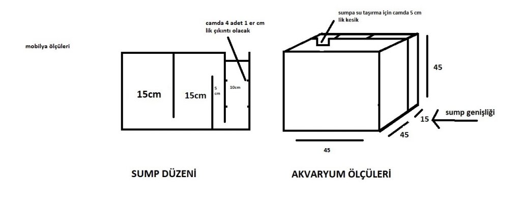 Akvaryum ölçüleri (2).jpg